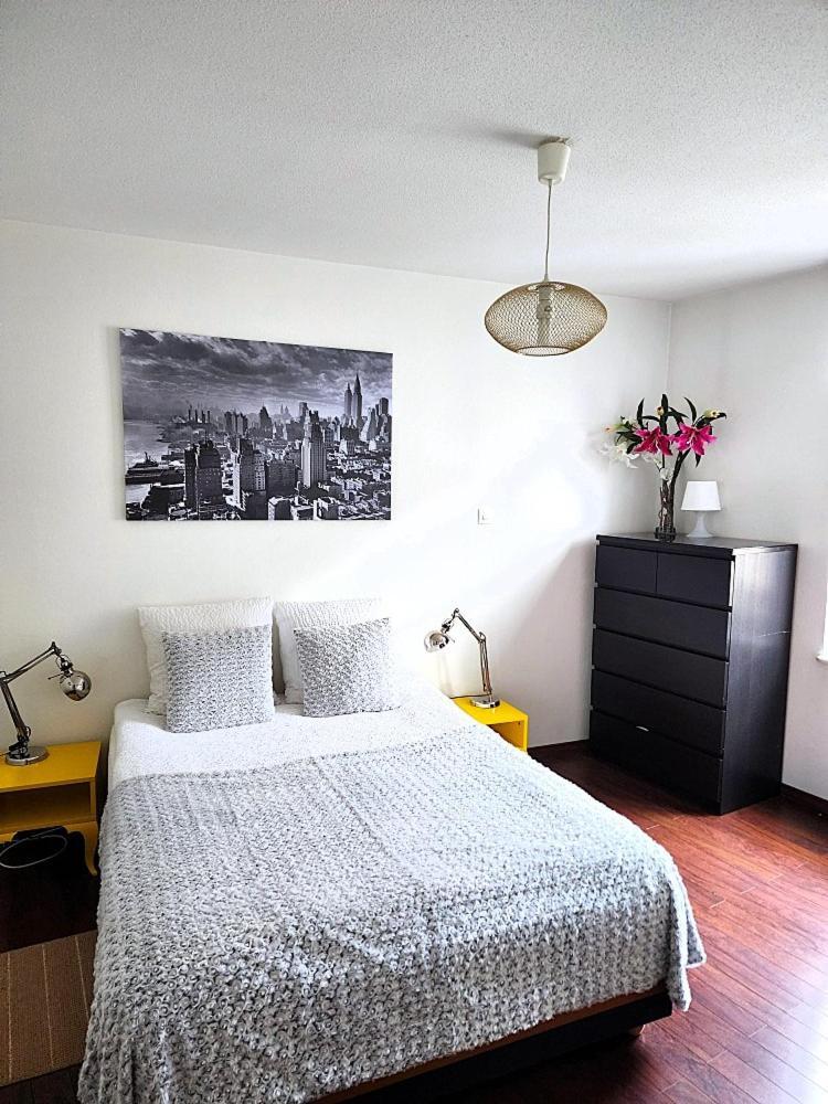 Appartement 3 Pieces, Krutenau, Parking Prive Страсбург Экстерьер фото